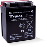 Yuasa YTX14AH-BS High Performance AGM 12 Volt Battery (Bottle Supplied)