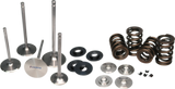 Ferrea 02-03 Harley-Davidson VRSCA V Rod Valve Spring Kit